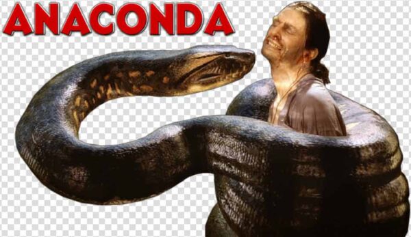 Anaconda PNG images
