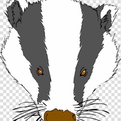 Badger png cartoon