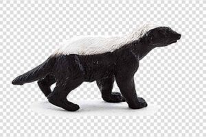 Honey Badger PNG Images