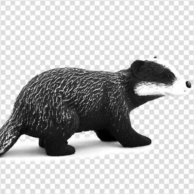 Badger png cartoon