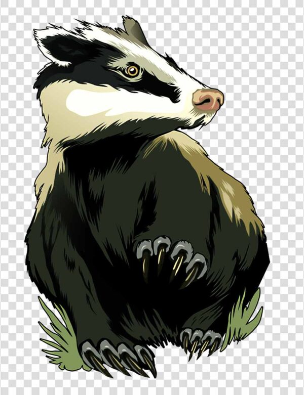 Badger png cartoon