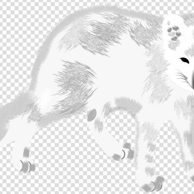 Clipart Arctic fox png