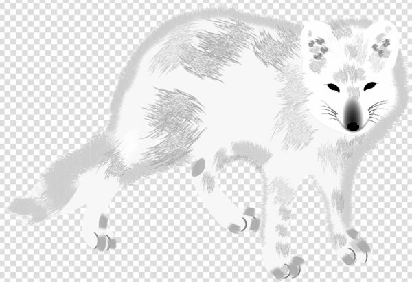 Clipart Arctic fox png