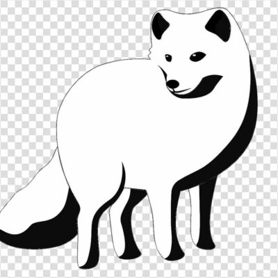 Arctic fox Cartoon png