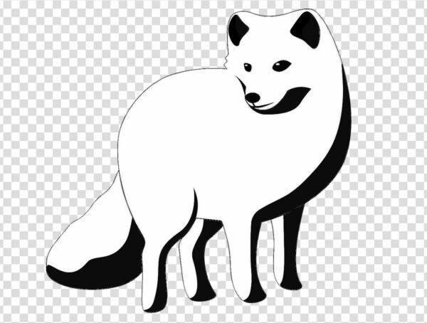 Arctic fox Cartoon png