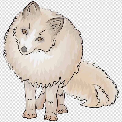 Arctic fox Cartoon png