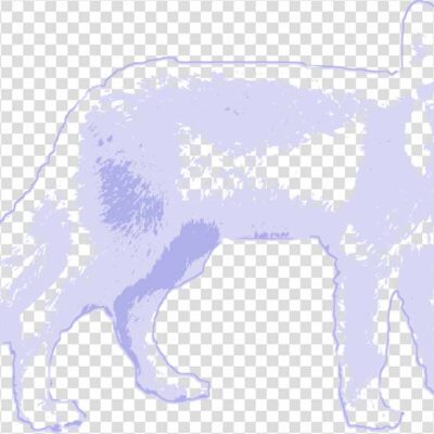 Arctic fox Cartoon png