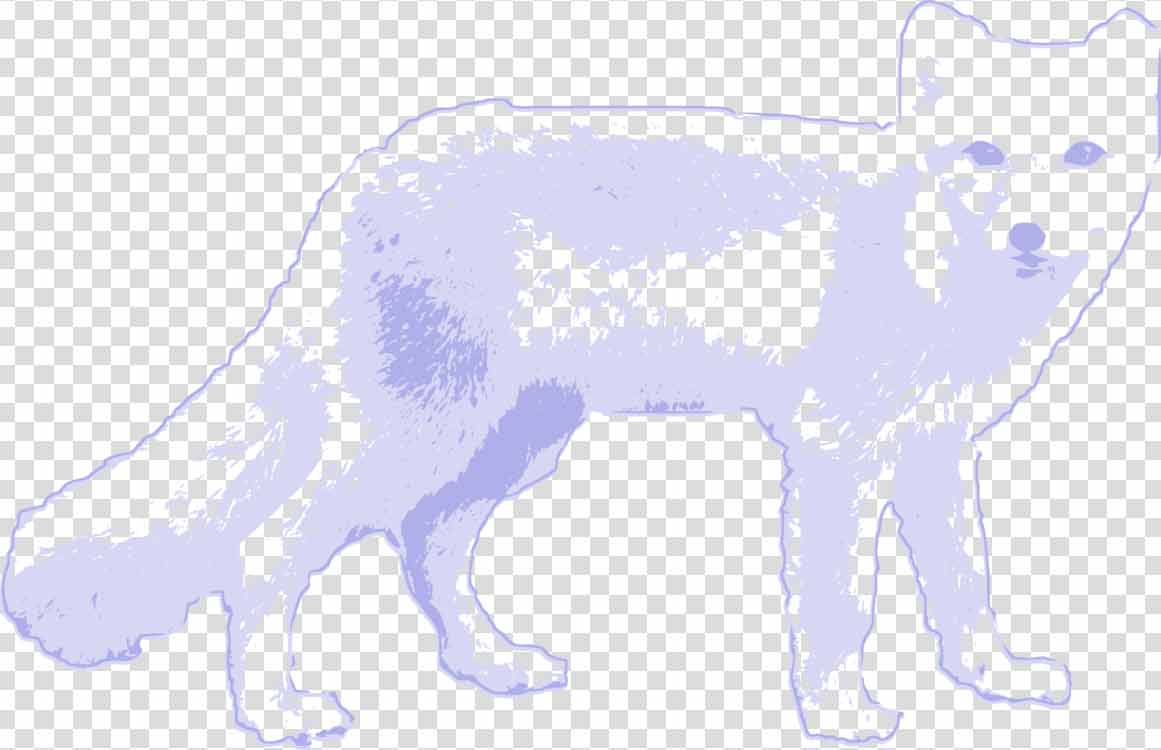 Arctic Fox Royalty PNG Images - PNGBUY