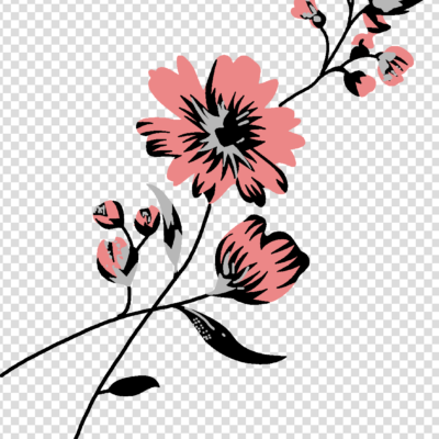 vintage aesthetic flower png