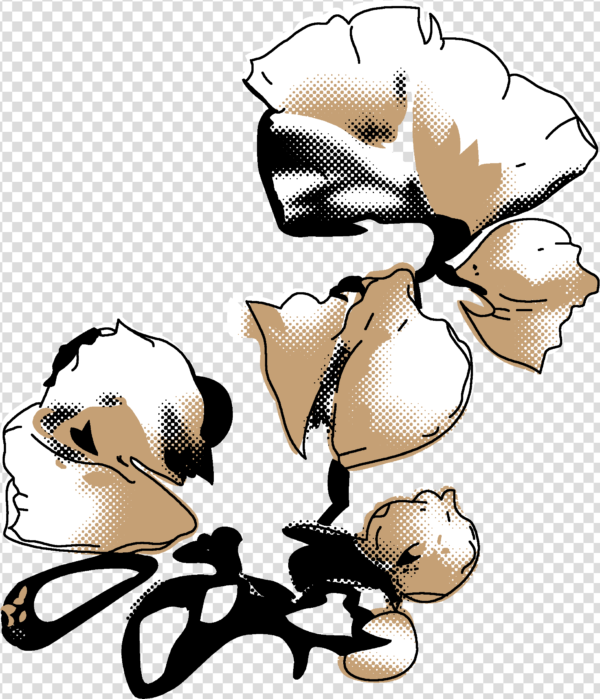 Flower png aesthetic