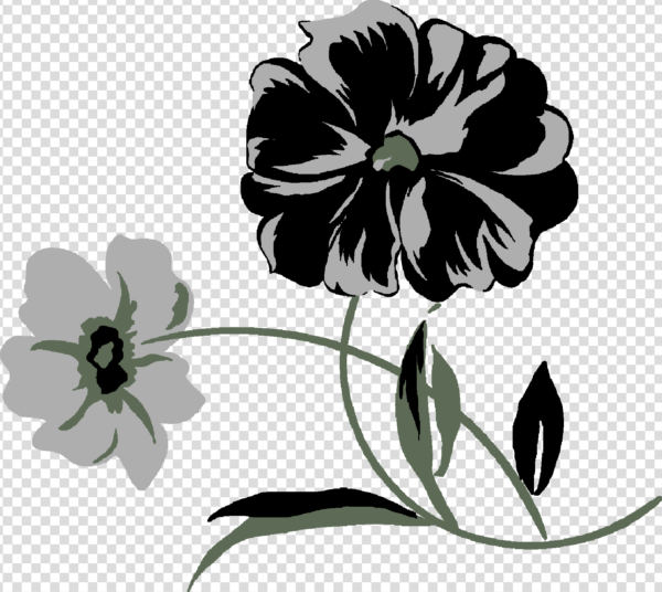 Hibiscus png Black And White