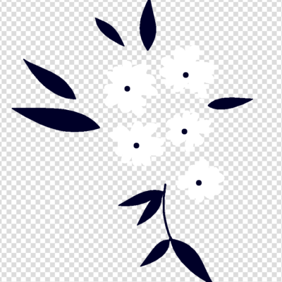 Flower Black And White png images