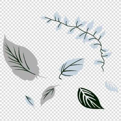 Flower aesthetic png