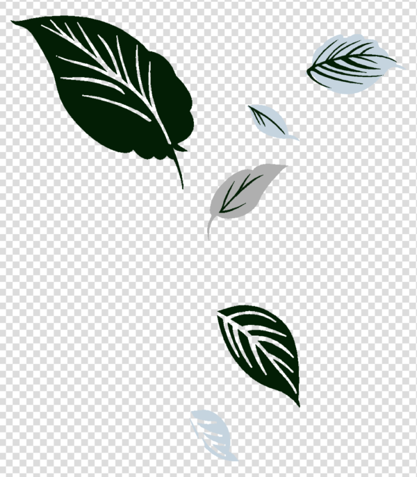 Aesthetic Flower png