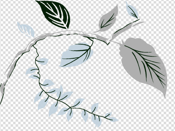 Aesthetic Flower png