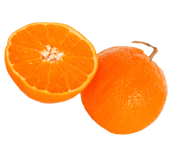 Orange Fruit PNG