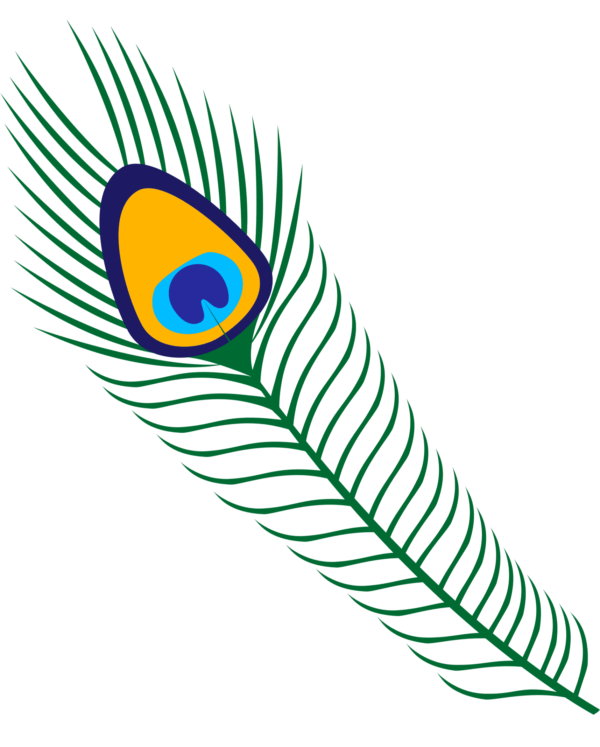 Peacock Feather Border