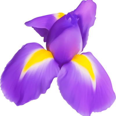 Purple Iris Flower ClipArt
