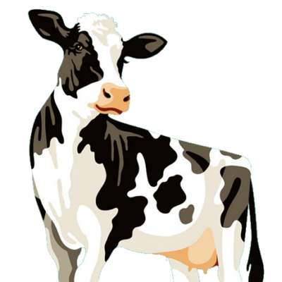desi Cow Png Image