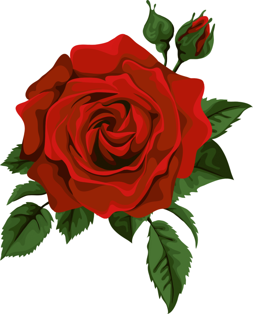 single red rose clip art