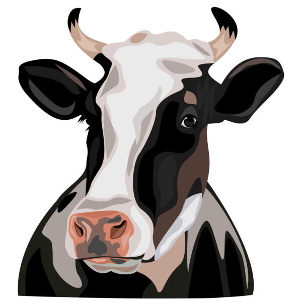 vector cow Png