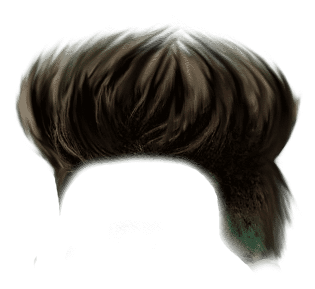 🔥100+ Best Hair Png Full HD Transparent Images Free Download