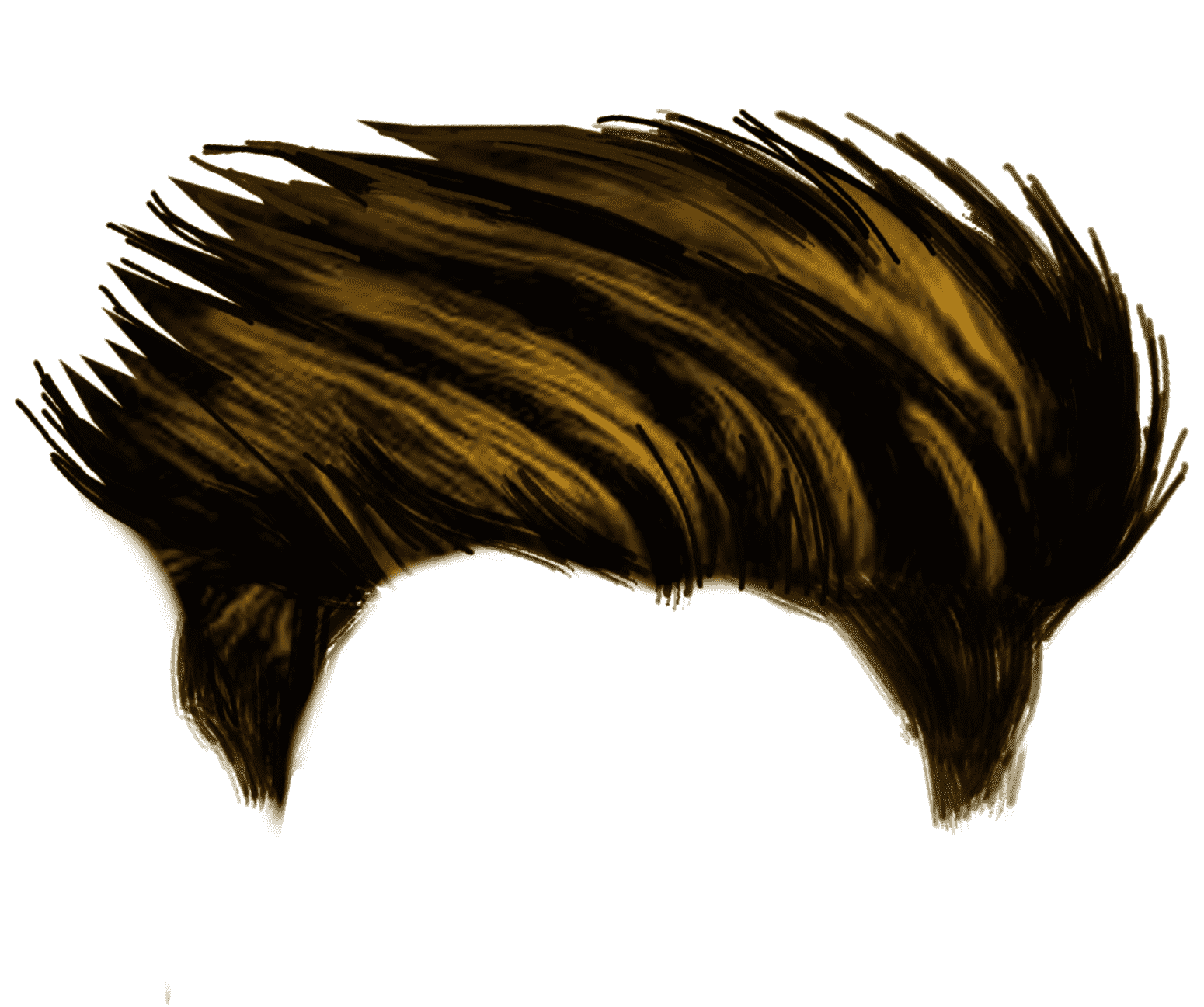 PNG of Hair