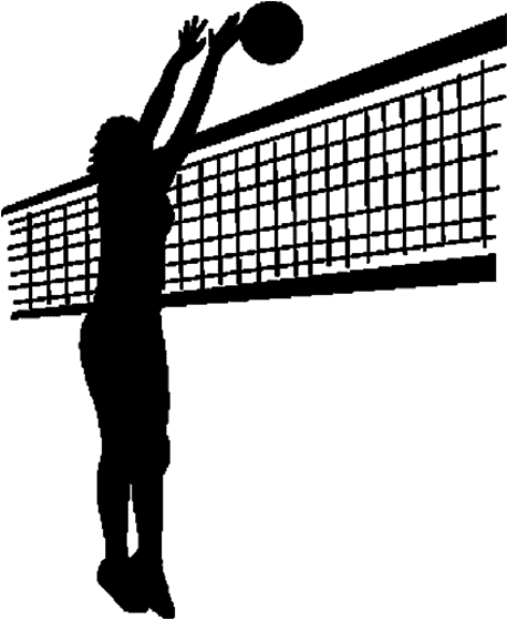 Volleyball Net Clipart PNG