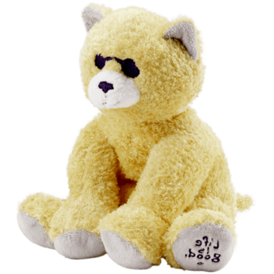 Teddy Toy PNG