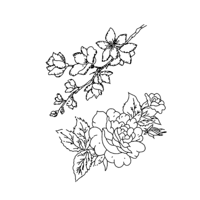 Flower Outline PNG Images,flower clipart (11)