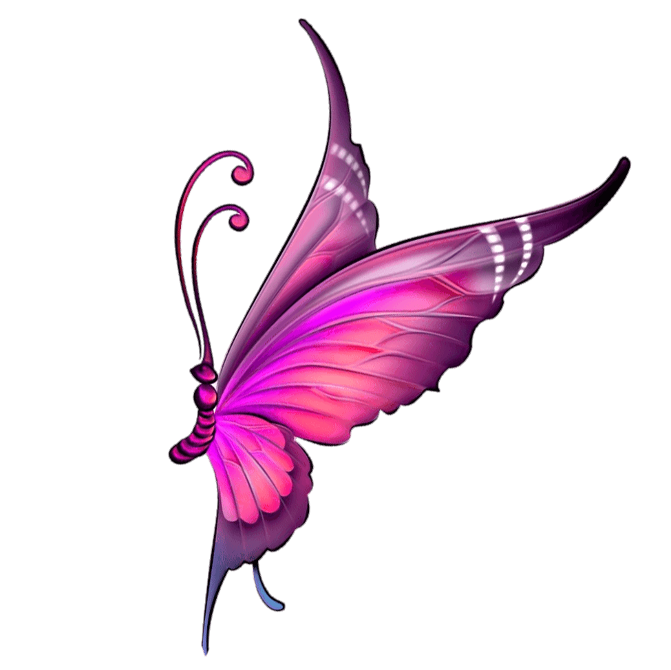 butterfly png (4)