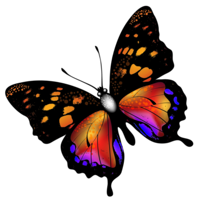 butterfly png butterflies png (5)