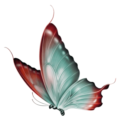 butterfly png butterflies png png butterfly (2)