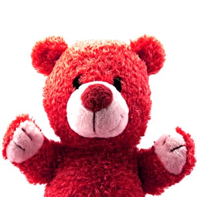 Teddy Bear PNG 6