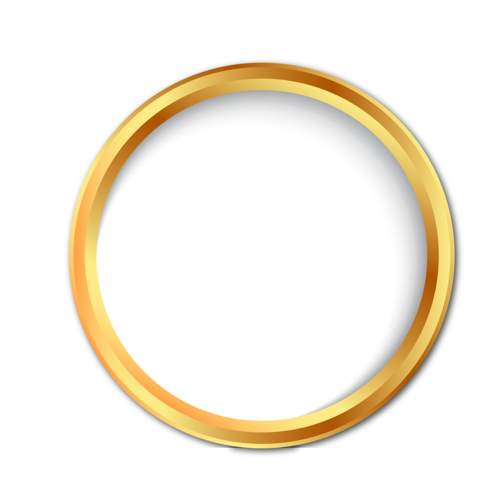 O-ring png images | PNGWing